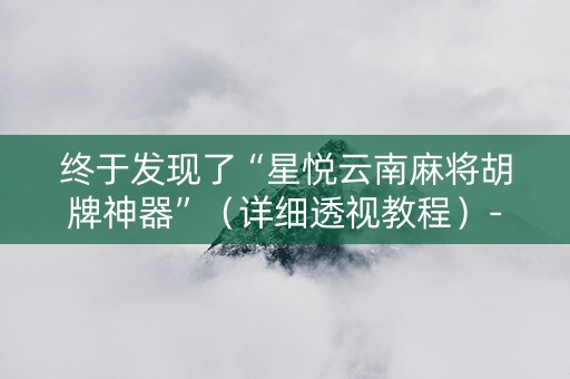 终于发现了“星悦云南麻将胡牌神器”（详细透视教程）-哔哩哔哩