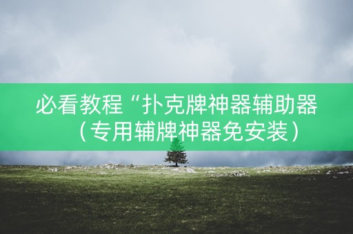 必看教程“扑克牌神器辅助器（专用辅牌神器免安装）