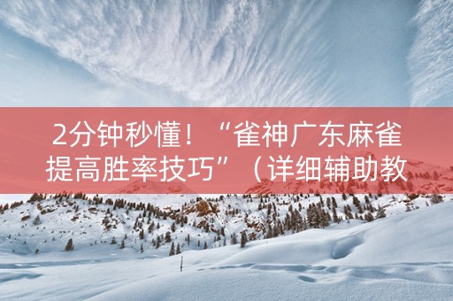 2分钟秒懂！“雀神广东麻雀提高胜率技巧”（详细辅助教程）-哔哩哔哩