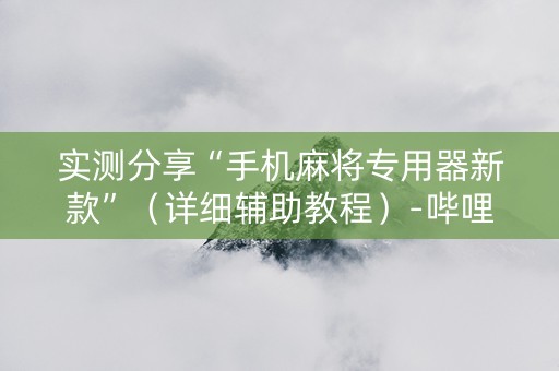 实测分享“手机麻将专用器新款”（详细辅助教程）-哔哩哔哩