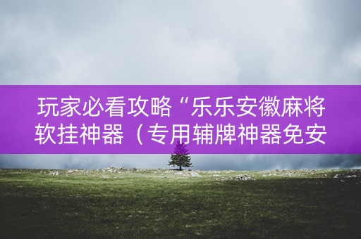 玩家必看攻略“乐乐安徽麻将软挂神器（专用辅牌神器免安装）