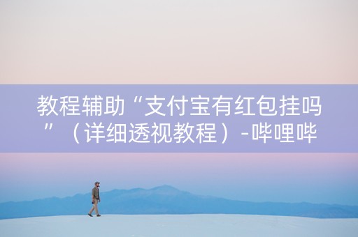 教程辅助“支付宝有红包挂吗”（详细透视教程）-哔哩哔哩
