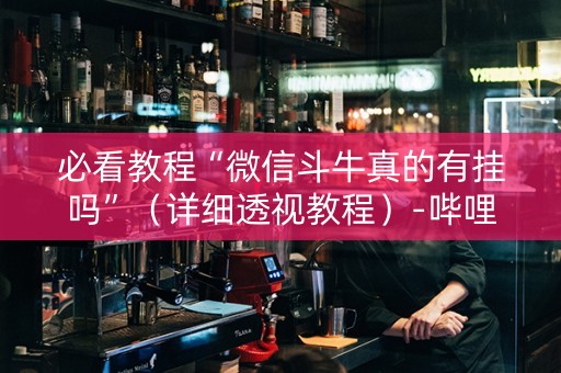 必看教程“微信斗牛真的有挂吗”（详细透视教程）-哔哩哔哩