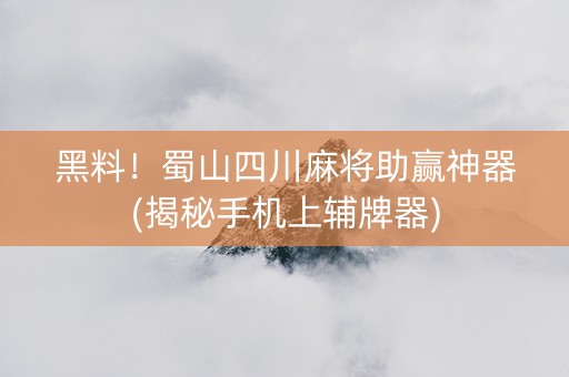 黑料！蜀山四川麻将助赢神器(揭秘手机上辅牌器)