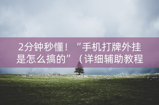 2分钟秒懂！“手机打牌外挂是怎么搞的”（详细辅助教程）-哔哩哔哩