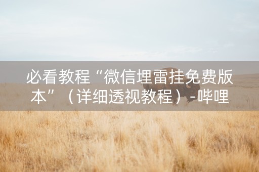 必看教程“微信埋雷挂免费版本”（详细透视教程）-哔哩哔哩