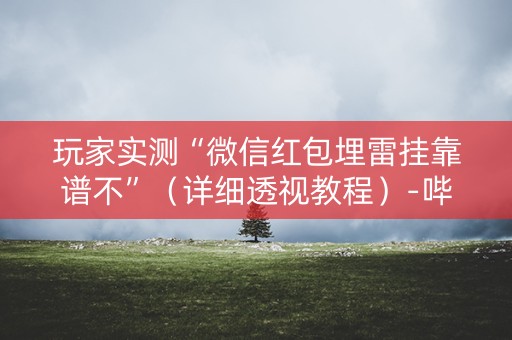 玩家实测“微信红包埋雷挂靠谱不”（详细透视教程）-哔哩哔哩