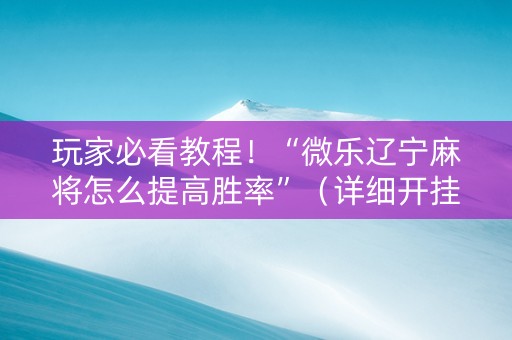 玩家必看教程！“微乐辽宁麻将怎么提高胜率”（详细开挂教程）-哔哩哔哩