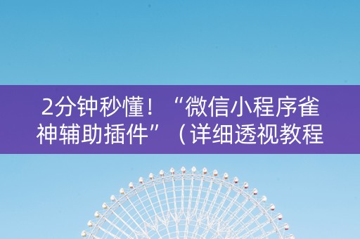 2分钟秒懂！“微信小程序雀神辅助插件”（详细透视教程）-哔哩哔哩