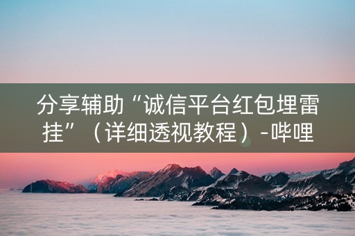 分享辅助“诚信平台红包埋雷挂”（详细透视教程）-哔哩哔哩