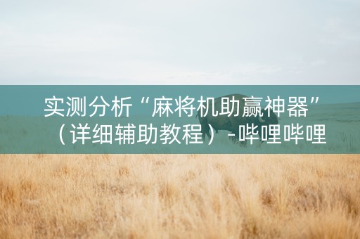 实测分析“麻将机助赢神器”（详细辅助教程）-哔哩哔哩