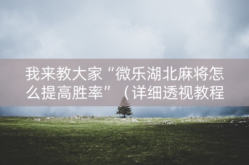 我来教大家“微乐湖北麻将怎么提高胜率”（详细透视教程）-哔哩哔哩