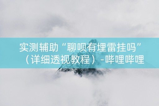 实测辅助“聊呗有埋雷挂吗”（详细透视教程）-哔哩哔哩