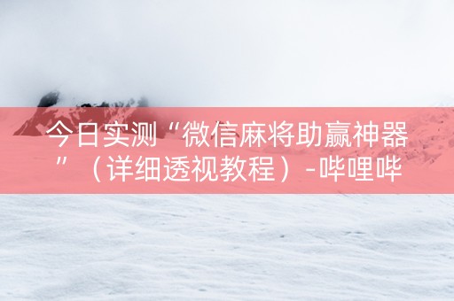 今日实测“微信麻将助赢神器”（详细透视教程）-哔哩哔哩