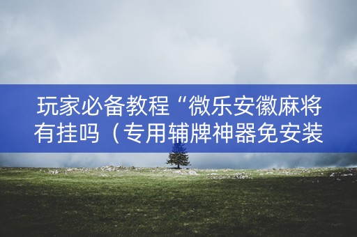 玩家必备教程“微乐安徽麻将有挂吗（专用辅牌神器免安装）