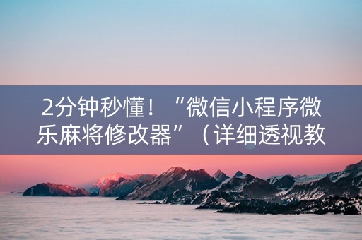 2分钟秒懂！“微信小程序微乐麻将修改器”（详细透视教程）-哔哩哔哩