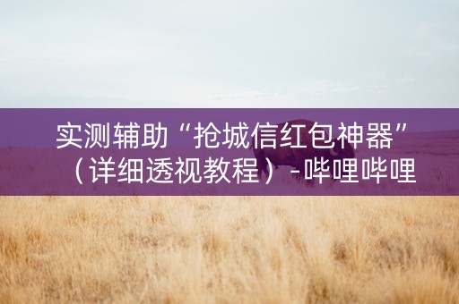 实测辅助“抢城信红包神器”（详细透视教程）-哔哩哔哩