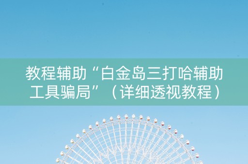 教程辅助“白金岛三打哈辅助工具骗局”（详细透视教程）-哔哩哔哩