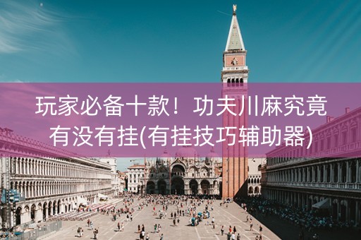 玩家必备十款！功夫川麻究竟有没有挂(有挂技巧辅助器)