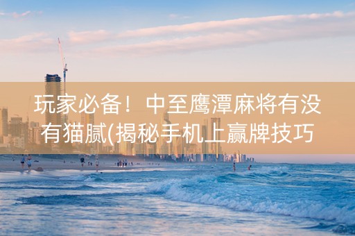 玩家必备！中至鹰潭麻将有没有猫腻(揭秘手机上赢牌技巧)