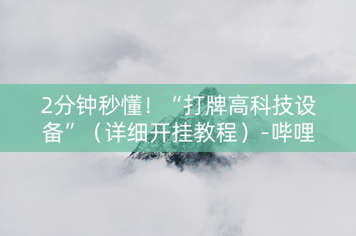 2分钟秒懂！“打牌高科技设备”（详细开挂教程）-哔哩哔哩