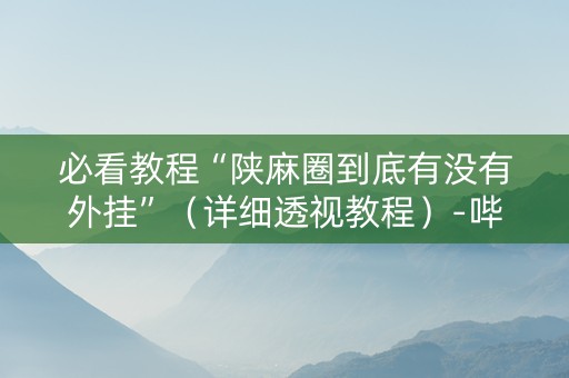 必看教程“陕麻圈到底有没有外挂”（详细透视教程）-哔哩哔哩