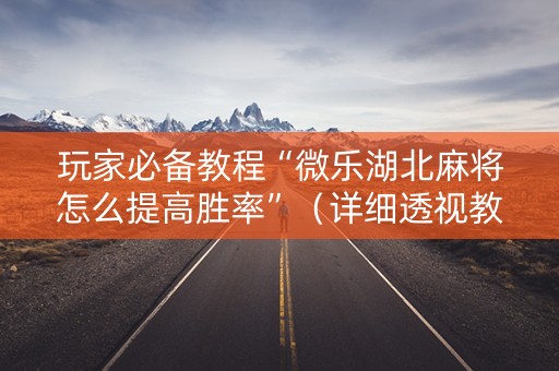 玩家必备教程“微乐湖北麻将怎么提高胜率”（详细透视教程）-哔哩哔哩
