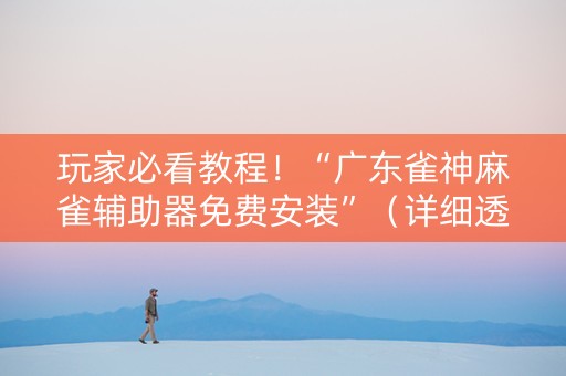 玩家必看教程！“广东雀神麻雀辅助器免费安装”（详细透视教程）-哔哩哔哩