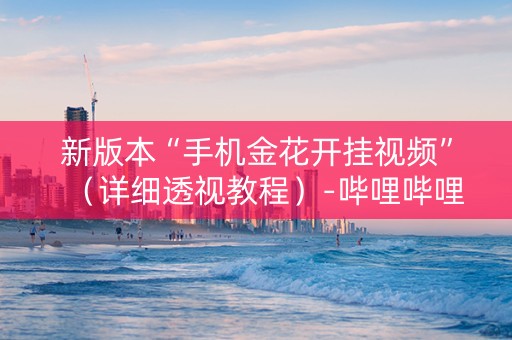 新版本“手机金花开挂视频”（详细透视教程）-哔哩哔哩