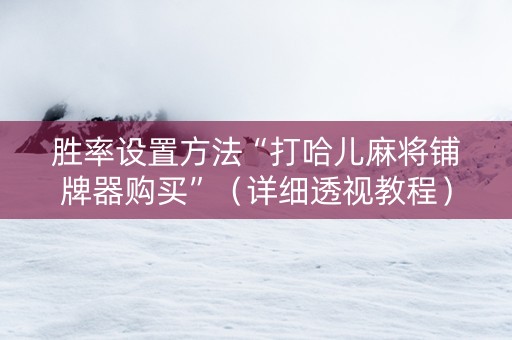 胜率设置方法“打哈儿麻将铺牌器购买”（详细透视教程）-哔哩哔哩