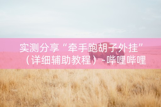 实测分享“牵手跑胡子外挂”（详细辅助教程）-哔哩哔哩