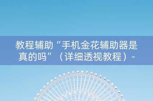 教程辅助“手机金花辅助器是真的吗”（详细透视教程）-哔哩哔哩