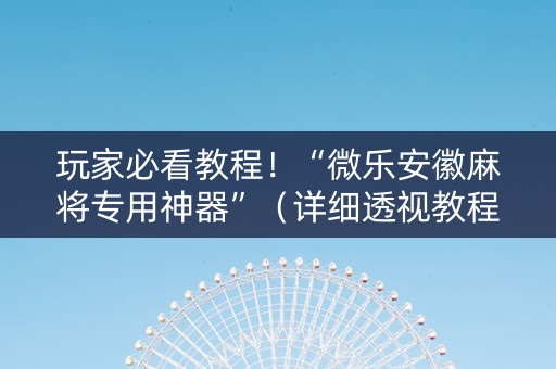 玩家必看教程！“微乐安徽麻将专用神器”（详细透视教程）-哔哩哔哩