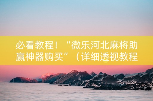 必看教程！“微乐河北麻将助赢神器购买”（详细透视教程）-哔哩哔哩