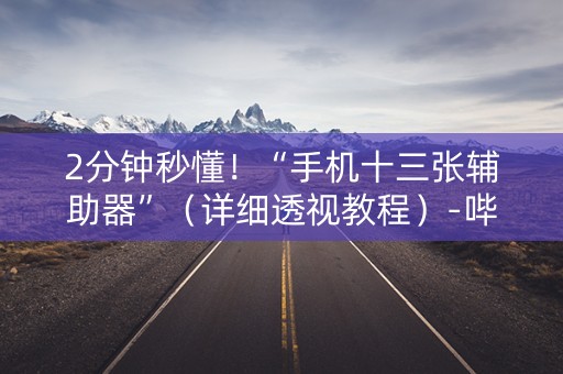 2分钟秒懂！“手机十三张辅助器”（详细透视教程）-哔哩哔哩