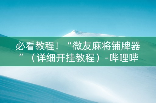 必看教程！“微友麻将铺牌器”（详细开挂教程）-哔哩哔哩