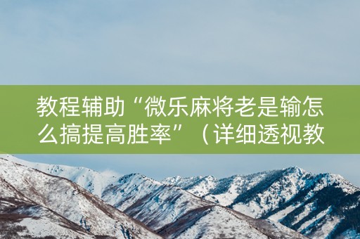 教程辅助“微乐麻将老是输怎么搞提高胜率”（详细透视教程）-哔哩哔哩