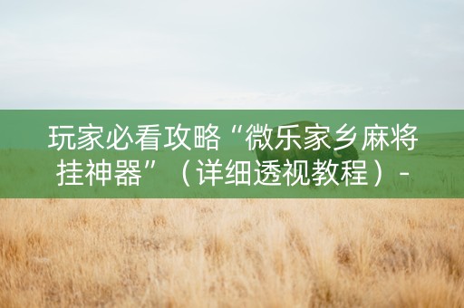 玩家必看攻略“微乐家乡麻将挂神器”（详细透视教程）-哔哩哔哩
