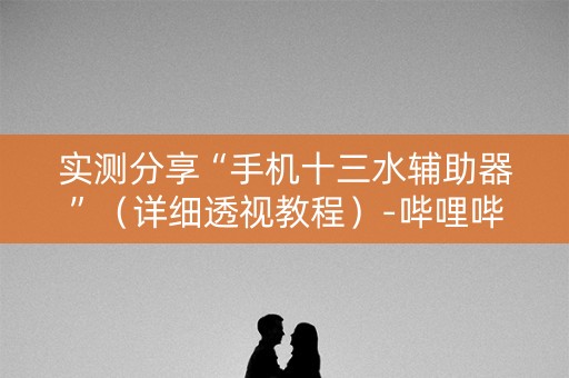 实测分享“手机十三水辅助器”（详细透视教程）-哔哩哔哩