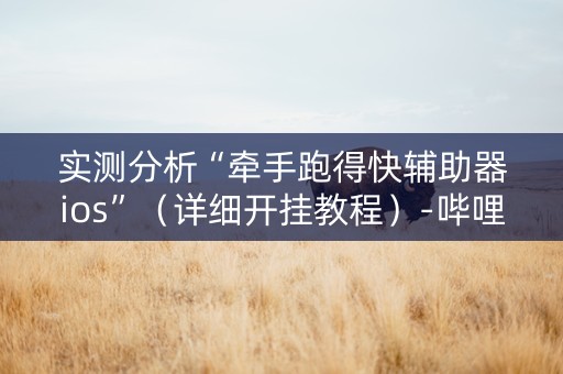 实测分析“牵手跑得快辅助器ios”（详细开挂教程）-哔哩哔哩