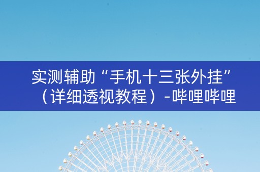 实测辅助“手机十三张外挂”（详细透视教程）-哔哩哔哩