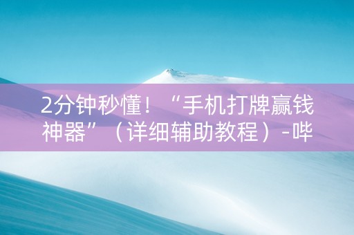 2分钟秒懂！“手机打牌赢钱神器”（详细辅助教程）-哔哩哔哩