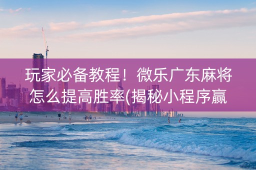 玩家必备教程！微乐广东麻将怎么提高胜率(揭秘小程序赢的诀窍)