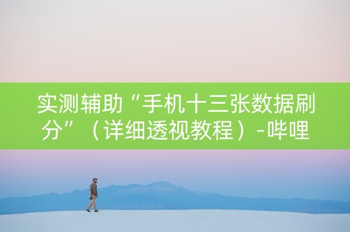 实测辅助“手机十三张数据刷分”（详细透视教程）-哔哩哔哩