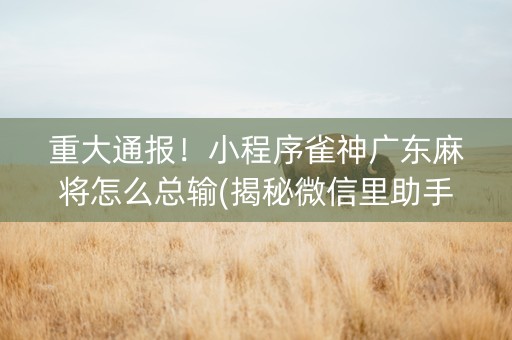 重大通报！小程序雀神广东麻将怎么总输(揭秘微信里助手软件)