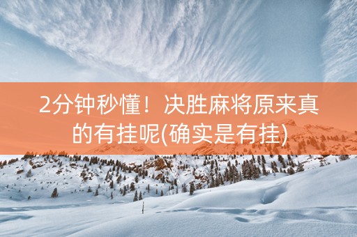 2分钟秒懂！决胜麻将原来真的有挂呢(确实是有挂)