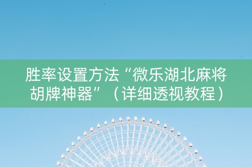 胜率设置方法“微乐湖北麻将胡牌神器”（详细透视教程）-哔哩哔哩