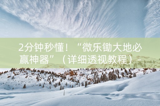 2分钟秒懂！“微乐锄大地必赢神器”（详细透视教程）-哔哩哔哩