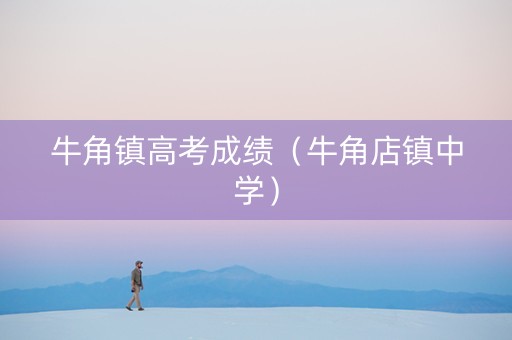 牛角镇高考成绩（牛角店镇中学）