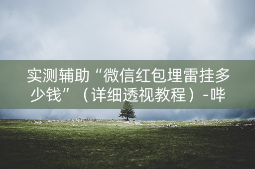 实测辅助“微信红包埋雷挂多少钱”（详细透视教程）-哔哩哔哩